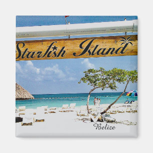Starfish Island Belize magneet