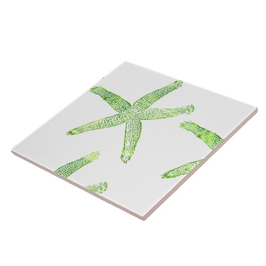 Starfish Kastal Beach Grey White Groot Tegeltje (Zijkant)