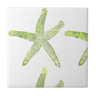 Starfish Kustal Beach Grey Green Modern Tegeltje