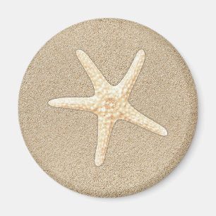 Starfish Magnet