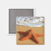 Starfish Magnet (Voorkant / Achterkant)