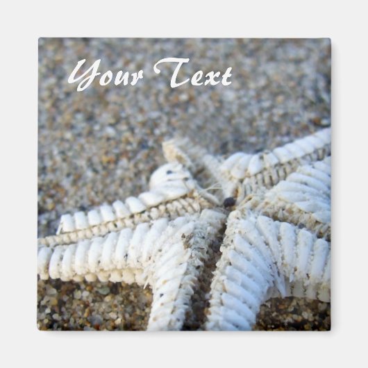 Starfish Magnet (Voorkant)