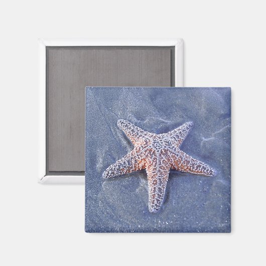 Starfish Magnet (Voorkant / Achterkant)