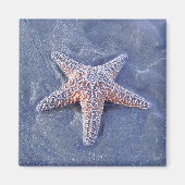 Starfish Magnet (Voorkant)
