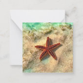 Starfish mini notecard set notitiekaartje (Voorkant)