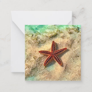 Starfish mini notecard set notitiekaartje