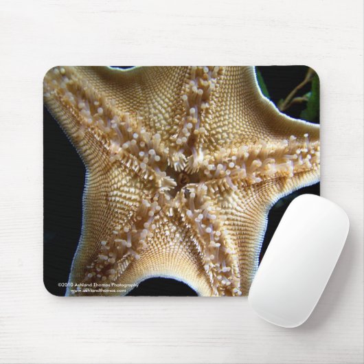 Starfish Mousepad Muismat (Met muis)