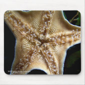 Starfish Mousepad Muismat (Voorkant)