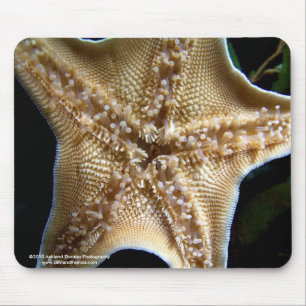 Starfish Mousepad Muismat
