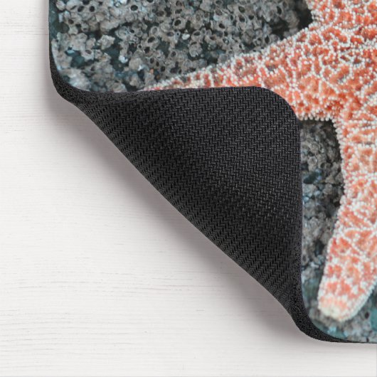 Starfish Mousepad Muismat (Hoek)