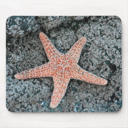 Starfish Mousepad Muismat (Voorkant)