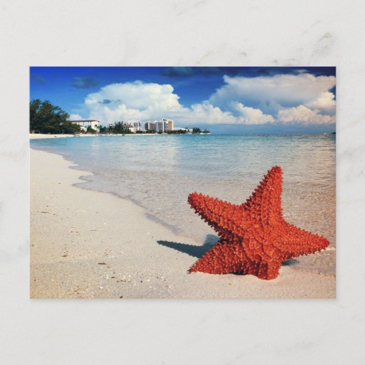 Starfish, Nassau, Bahamas Briefkaart (Voorkant)