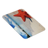 Starfish, Nassau, Bahamas Magneet (Rechterzijde)