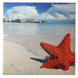 Starfish, Nassau, Bahamas Tegeltje