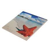 Starfish, Nassau, Bahamas Tegeltje (Zijkant)