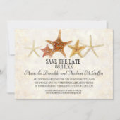 Starfish Nautilus Scallop Zee Shell Modern Patroon Kaart (Voorkant)