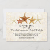 Starfish Nautilus Scallop Zee Shell Modern Patroon Kaart (Voorkant)