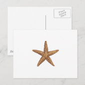 Starfish - Northern Zee Star Briefkaart (Voorkant / Achterkant)