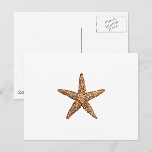 Starfish - Northern Zee Star Briefkaart (Voorkant / Achterkant)