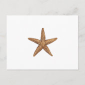 Starfish - Northern Zee Star Briefkaart (Voorkant)