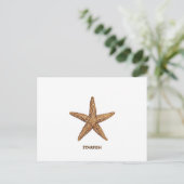 Starfish - Northern Zee Star Briefkaart (Staand voorkant)