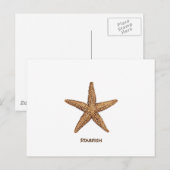 Starfish - Northern Zee Star Briefkaart (Voorkant / Achterkant)