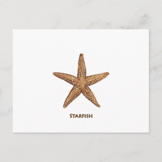 Starfish - Northern Zee Star Briefkaart (Voorkant)