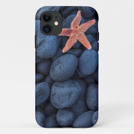 Starfish on Black Rocks langs de kust | IJsland Case-Mate iPhone Case (Achterkant)