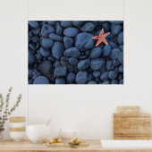 Starfish on Black Rocks langs de kust | IJsland Poster (Keuken)