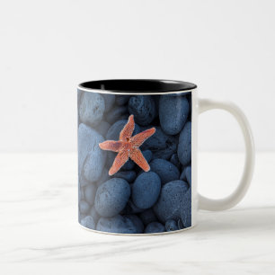 Starfish on Black Rocks langs de kust   IJsland Tweekleurige Koffiemok