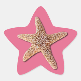 Starfish on Honeysuckle 2011 Ster Sticker