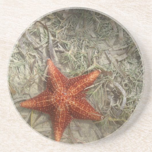 Starfish Onderzetter (Voorkant)
