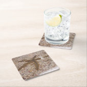 Starfish Onderzetter set (Insitu)