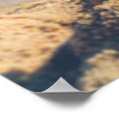 Starfish op een foto van Sandy Beach Poster (Hoek)