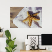 Starfish op een handdoek poster (Thuiskantoor)
