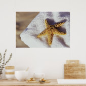 Starfish op een handdoek poster (Keuken)