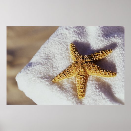 Starfish op een handdoek poster (Voorkant)