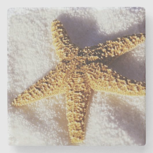 Starfish op een handdoek stenen onderzetter (Voorkant)