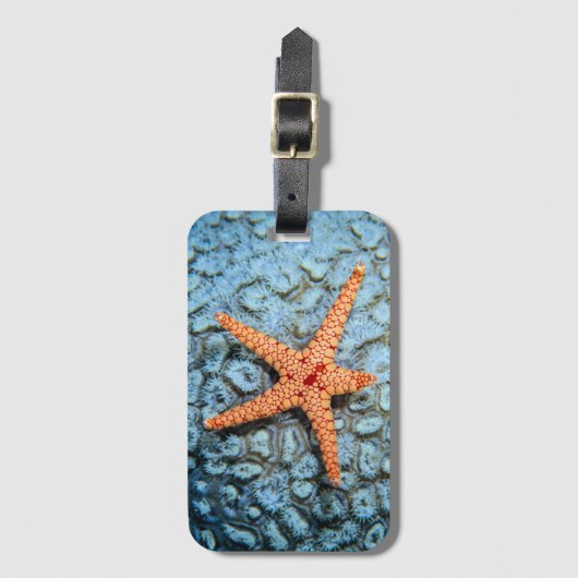 Starfish op een koraal met pokken bagagelabel (Voorkant (verticaal))