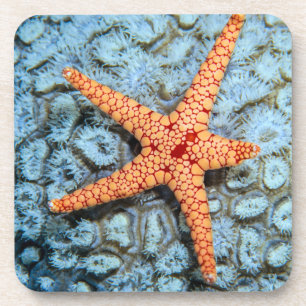 Starfish op een koraal met pokken onderzetter