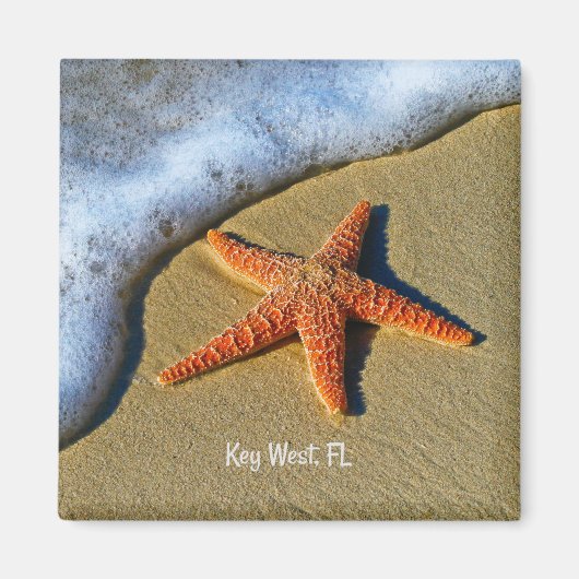 Starfish, op het strand in Key West, Florida, Magneet (Voorkant)