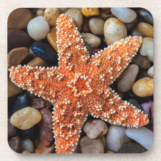 Starfish op Rocks Bier Onderzetter (Voorkant)