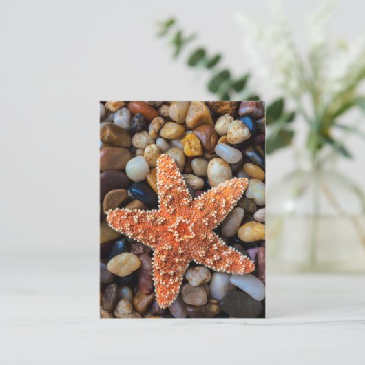 Starfish op Rocks Briefkaart (Staand voorkant)