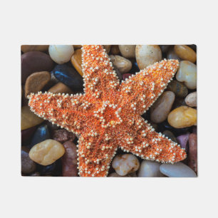 Starfish op Rocks Deurmat