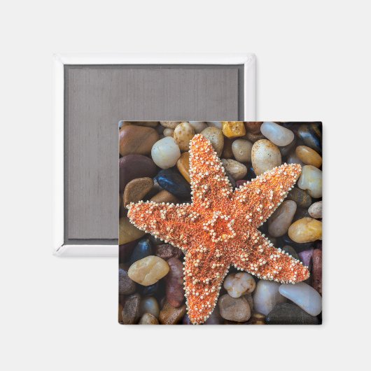 Starfish op Rocks Magneet (Voorkant / Achterkant)