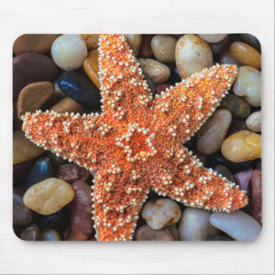 Starfish op Rocks Muismat