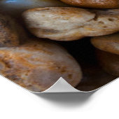 Starfish op Rocks Poster (Hoek)