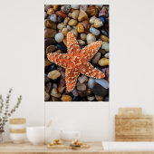 Starfish op Rocks Poster (Keuken)