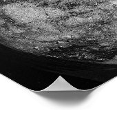 Starfish op Rocks Poster (Hoek)