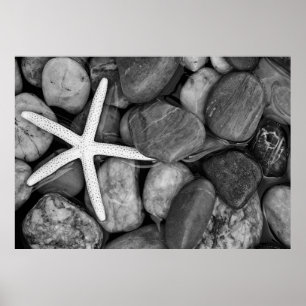 Starfish op Rocks Poster